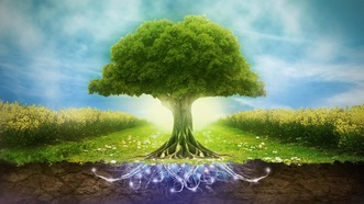 Arbre de vie : origines, significations et symboles • Mon-Talisman.com